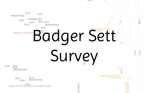 badgersettsurvey